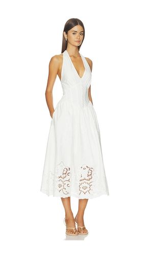 KLEID MARGIE in . Größe 2. Also in 4, 10 - Steve Madden - Modalova