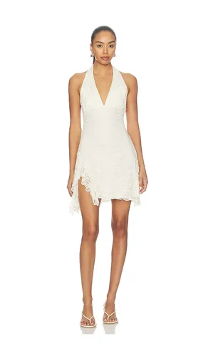 Nini Dress in . Size L. Also in M, S, XS - Steve Madden - Modalova