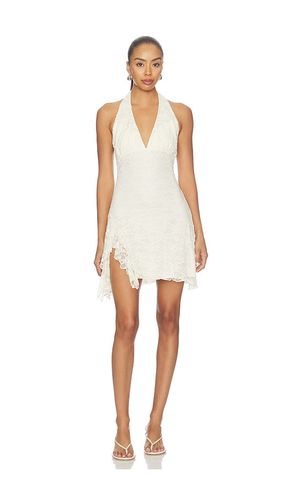 Nini Dress in . Size L. Also in S, XS - Steve Madden - Modalova