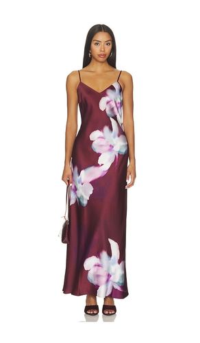 KLEID ATARA in . Größe 0. Also in 2 - Steve Madden - Modalova