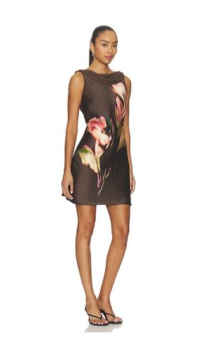 KLEID MANI in . Größe L. Also in M, S, XL, XS - Steve Madden - Modalova