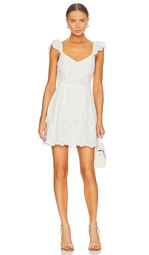 Sierra Dress in White. - size 0 (also in 10, 2, 4, 6, 8) - Steve Madden - Modalova