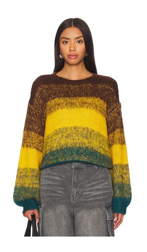 Lucie Sweater in Burnt Orange. - size M (also in S, XL, XS) - Steve Madden - Modalova