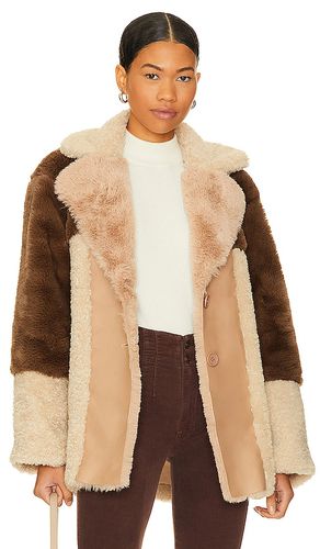 Willow Faux Fur Coat in . Size M, S, XL - Steve Madden - Modalova