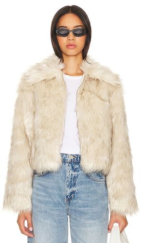 Juniper Faux Fur Coat in . - size L (also in M, S, XL) - Steve Madden - Modalova