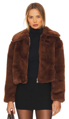 Juniper Faux Fur Coat in . Size M, S, XL - Steve Madden - Modalova