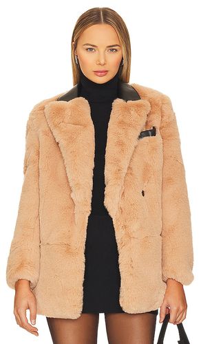 Myra Faux Fur Coat in . Size XS - Steve Madden - Modalova