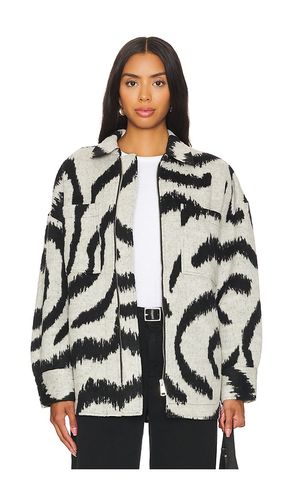 Sorrel Jacket in Black,Grey. - size L (also in M, XL) - Steve Madden - Modalova