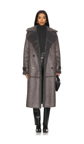 Eiffel Coat in . Taglia S, XL, XS - Steve Madden - Modalova