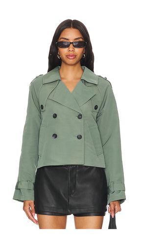 Chaqueta sirus en color verde talla L en - Green. Talla L (también en M, S, XL, XS) - Steve Madden - Modalova