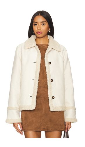 Chaqueta miel en color beige talla L en - Beige. Talla L (también en M, S, XL, XS) - Steve Madden - Modalova