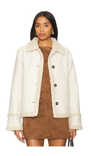 Chaqueta miel en color beige talla L en - Beige. Talla L (también en M, XL, XS) - Steve Madden - Modalova