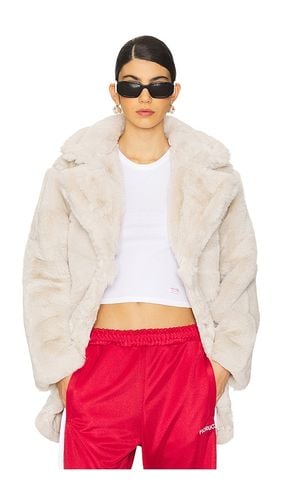 Snow Coat in . - size L (also in M, XL, XS) - Steve Madden - Modalova