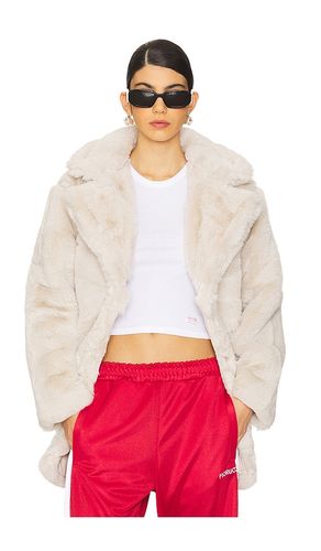 Snow Coat in . Taglia M, S, XL - Steve Madden - Modalova