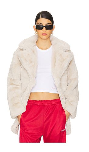 Abrigo snow en color talla L en - . Talla L (también en M, S, XL) - Steve Madden - Modalova