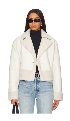 Chaqueta athen en color ivory talla L en - Ivory. Talla L (también en M, S, XL) - Steve Madden - Modalova