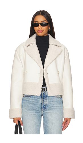 Chaqueta athen en color ivory talla L en - Ivory. Talla L (también en M, S, XL, XS) - Steve Madden - Modalova