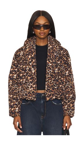 Evy Jacket in Brown. - size M (also in S, XL, XS) - Steve Madden - Modalova