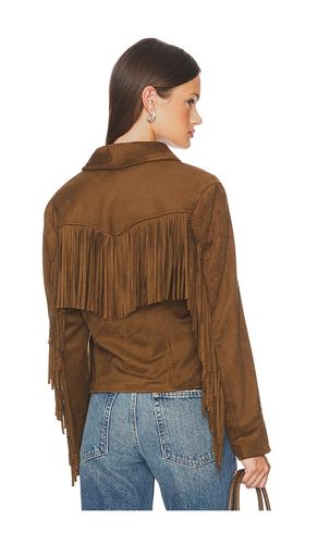 Dallas Jacket in Brown. - size L (also in M, S, XL, XS) - Steve Madden - Modalova