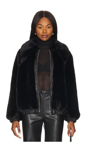 Zephrine Jacket in Black. - size L (also in XL, XS) - Steve Madden - Modalova