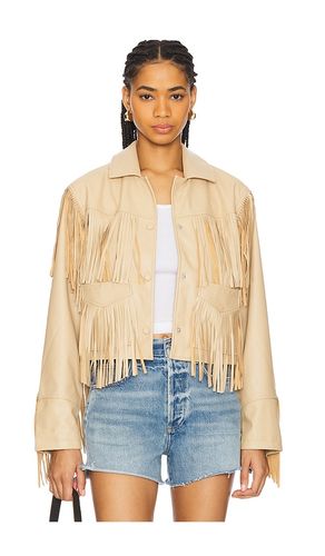 Halia Jacket in Beige. - size M (also in XL) - Steve Madden - Modalova