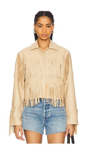 Halia Jacket in . Size L. Also in M, S, XS - Steve Madden - Modalova