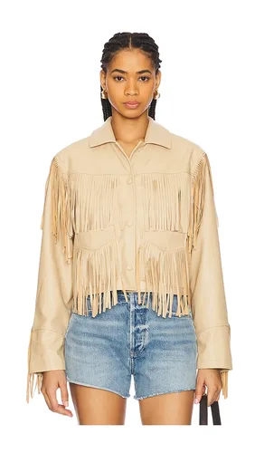 Halia Jacket in . Taglia L. Also in M, XS - Steve Madden - Modalova