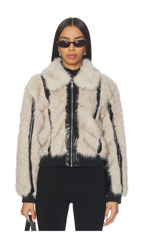 Charmaine Jacket in Neutral. - size S (also in XS, M, L, XL) - Steve Madden - Modalova