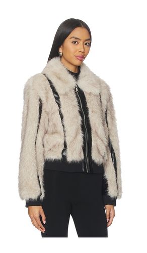Charmaine Jacket in Neutral. - size S (also in XS, M, L, XL) - Steve Madden - Modalova