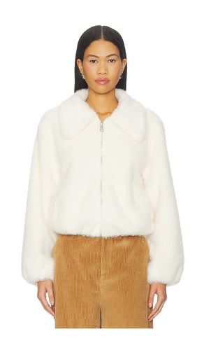 Evanie Coat in . Taglia M. Also in S, XS - Steve Madden - Modalova