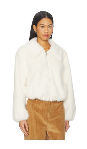 Evanie Coat in . Taglia M. Also in XS - Steve Madden - Modalova
