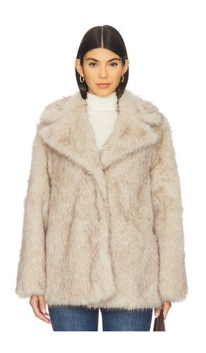 Kindra Coat in . Size S. Also in M, L - Steve Madden - Modalova