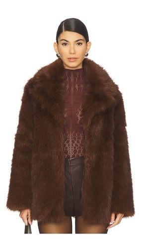 Kindra Coat in . - size L (also in M, S, XL, XS) - Steve Madden - Modalova