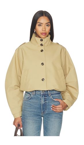 Fayden Jacket in . Taglia M. Also in S - Steve Madden - Modalova
