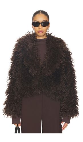 Inaya Coat in . Size L. Also in S - Steve Madden - Modalova