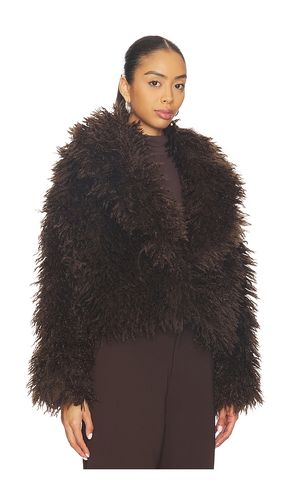 Inaya Coat in . Size L. Also in S - Steve Madden - Modalova