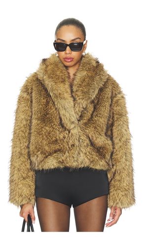 Roe Coat in . Size L. Also in M, S, XL, XS - Steve Madden - Modalova