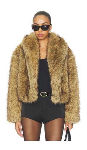 MANTEL ROE in . Größe L. Also in M, S, XL, XS - Steve Madden - Modalova