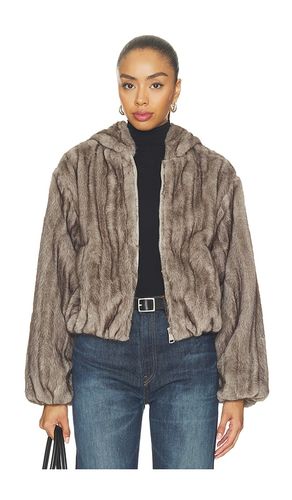 Carmilla Jacket in . Taglia L. Also in M, S, XL, XS - Steve Madden - Modalova