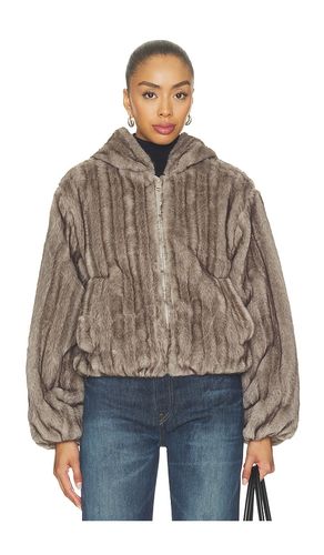 Carmilla Jacket in . Taglia L. Also in M, S, XL, XS - Steve Madden - Modalova