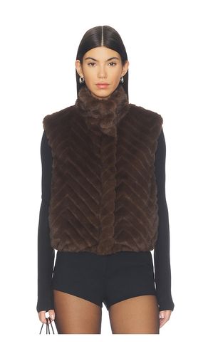 WESTE LUXIE in . Größe L. Also in M, S, XL, XS - Steve Madden - Modalova