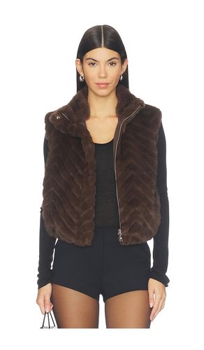 WESTE LUXIE in . Größe L. Also in M, S, XL, XS - Steve Madden - Modalova