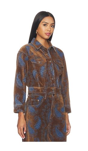 Dove Jacket in Brown. - size L (also in M, S, XL, XS) - Steve Madden - Modalova