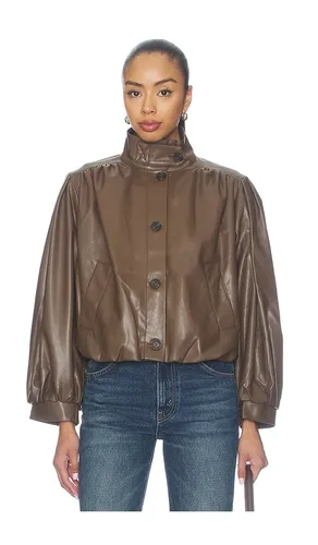 Deedee Jacket in Brown. - size L (also in M, S, XL, XS) - Steve Madden - Modalova