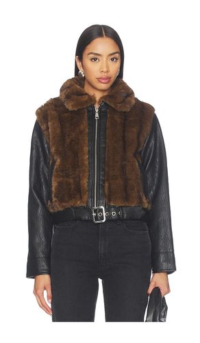 JACKE RYLAND in . Größe L. Also in M, S, XL, XS - Steve Madden - Modalova