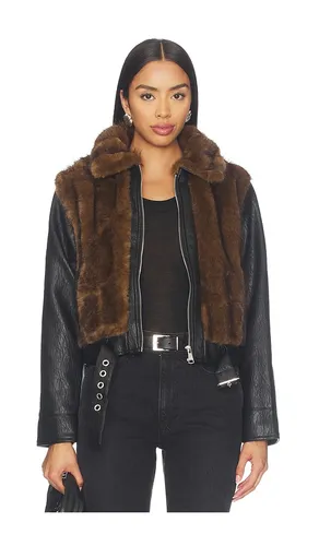 Ryland Jacket in . Size L. Also in M, S, XL, XS - Steve Madden - Modalova