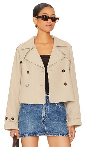 Sirus Jacket in Tan. - size L (also in M, S, XL) - Steve Madden - Modalova