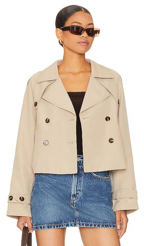 Sirus Jacket in Tan. - size L (also in XL) - Steve Madden - Modalova