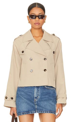 Sirus Jacket in . Size L. Also in M, S, XL - Steve Madden - Modalova
