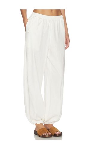 Divinia Pant in . Size S. Also in M, L, XL - Steve Madden - Modalova